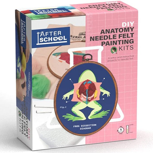 DIY Stitch Anatomy Frog Fish Sewing Kit Embroidery with Frame