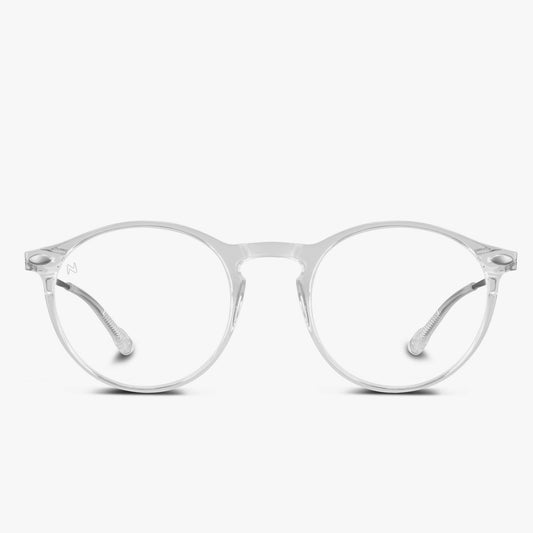 Reading Glasses +1 Crystal Nooz Dino Essentials