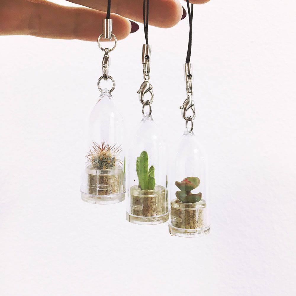 Grow Your Own Cactus / Succulent Keyring