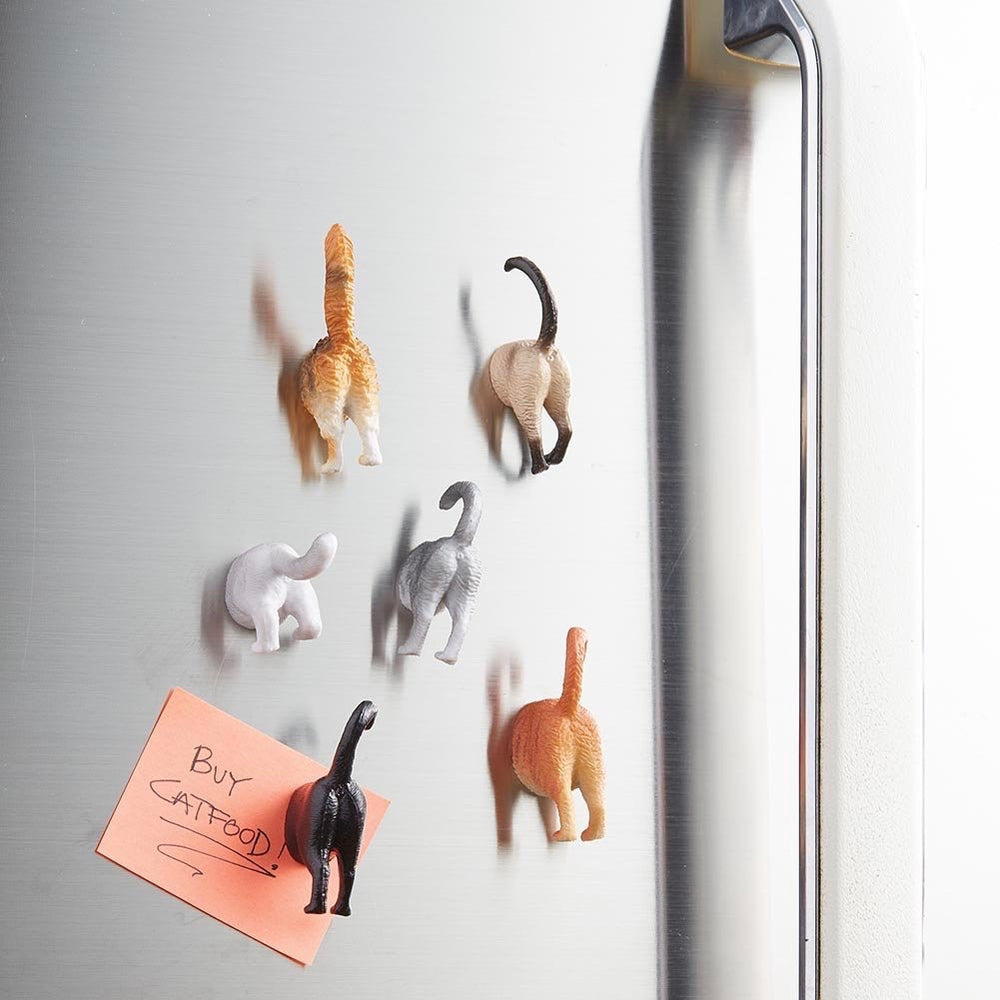 Magnets shaped like Cat Butts in multicolours