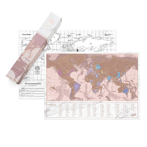 Rose gold mini scratch map travel