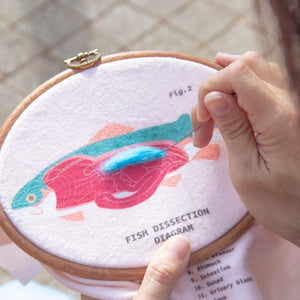 DIY Stitch Anatomy Frog Fish Sewing Kit Embroidery with Frame