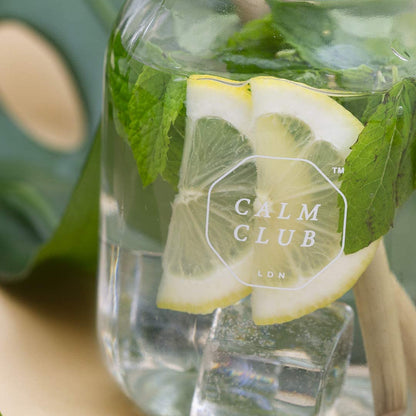 Mocktail and Cocktail Making Kit