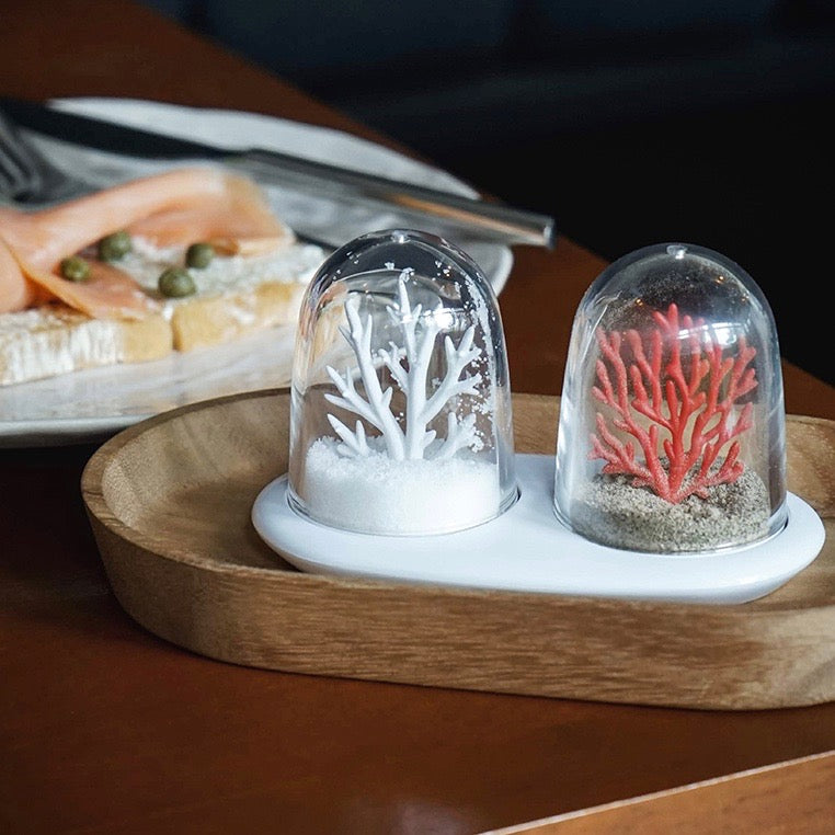 Salt and pepper shaker set Coral Reefs Bleaching ocean climate change in white