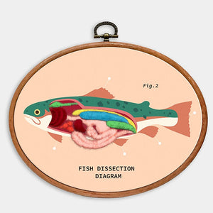 DIY Stitch Anatomy Frog Fish Sewing Kit Embroidery with Frame