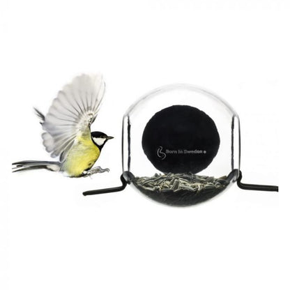 Bird Feeder Closeup Window with Perch Small