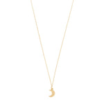 Necklace crescent moon pendant in gold