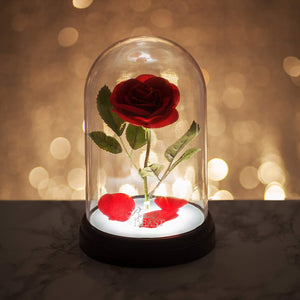 Enchanted Rose Light Beauty and the Beast in Red