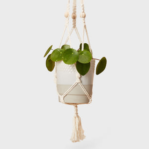 Cotton Plant Hanger Chord with Beads 'Hang Time'