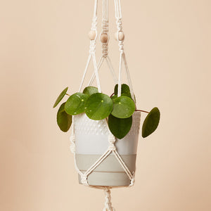 Cotton Plant Hanger Chord with Beads 'Hang Time'