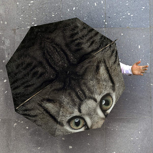 Animal Umbrella Cat 3D Design with Ears