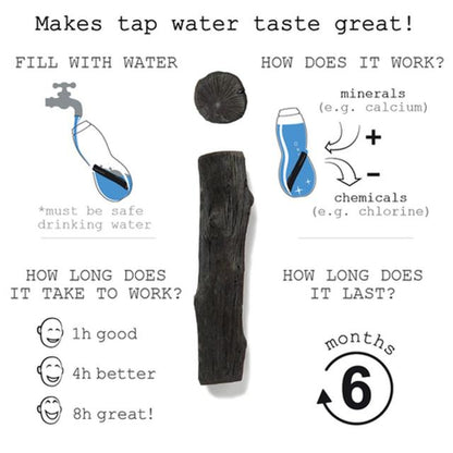 Water Bottle with Charcoal Filter in Black