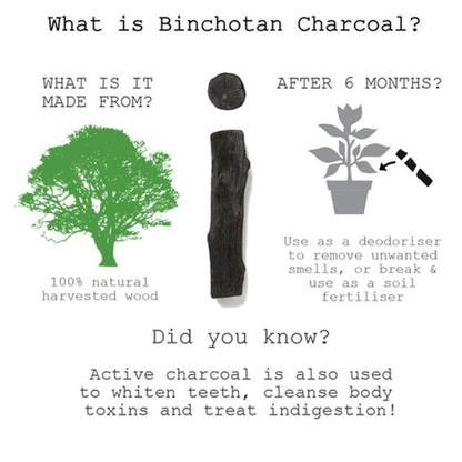 Water Bottle with Charcoal Filter in Black