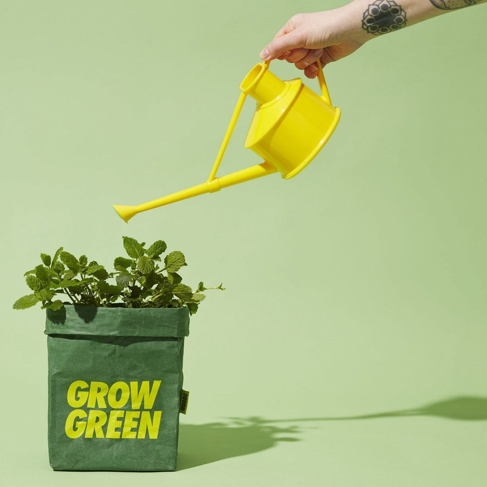 Home Gardening Kit - For Good Home Grown Hero Grow Kit in Green and Yellow