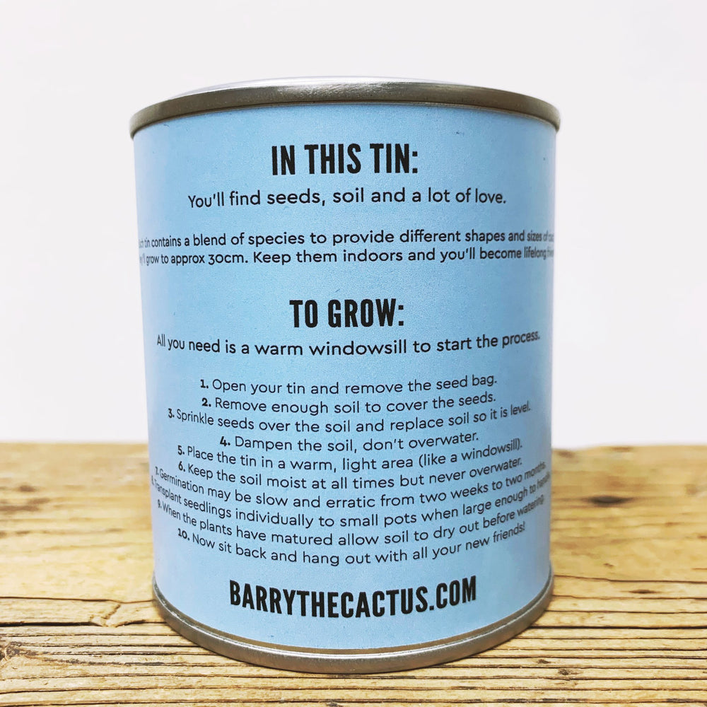 Grow Your Own Cactus Kit - Barry The Cactus