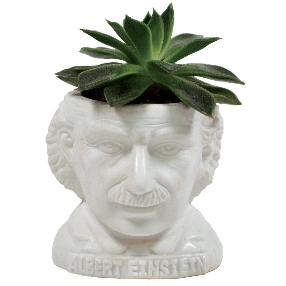 Plant Pot Albert Einstein Ceramic Mini Planter White