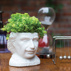 Plant Pot Albert Einstein Ceramic Mini Planter White