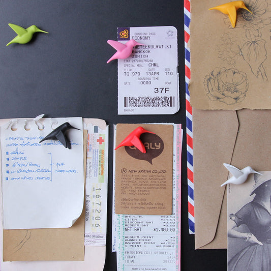 Magnets Humming Birds Multicolour