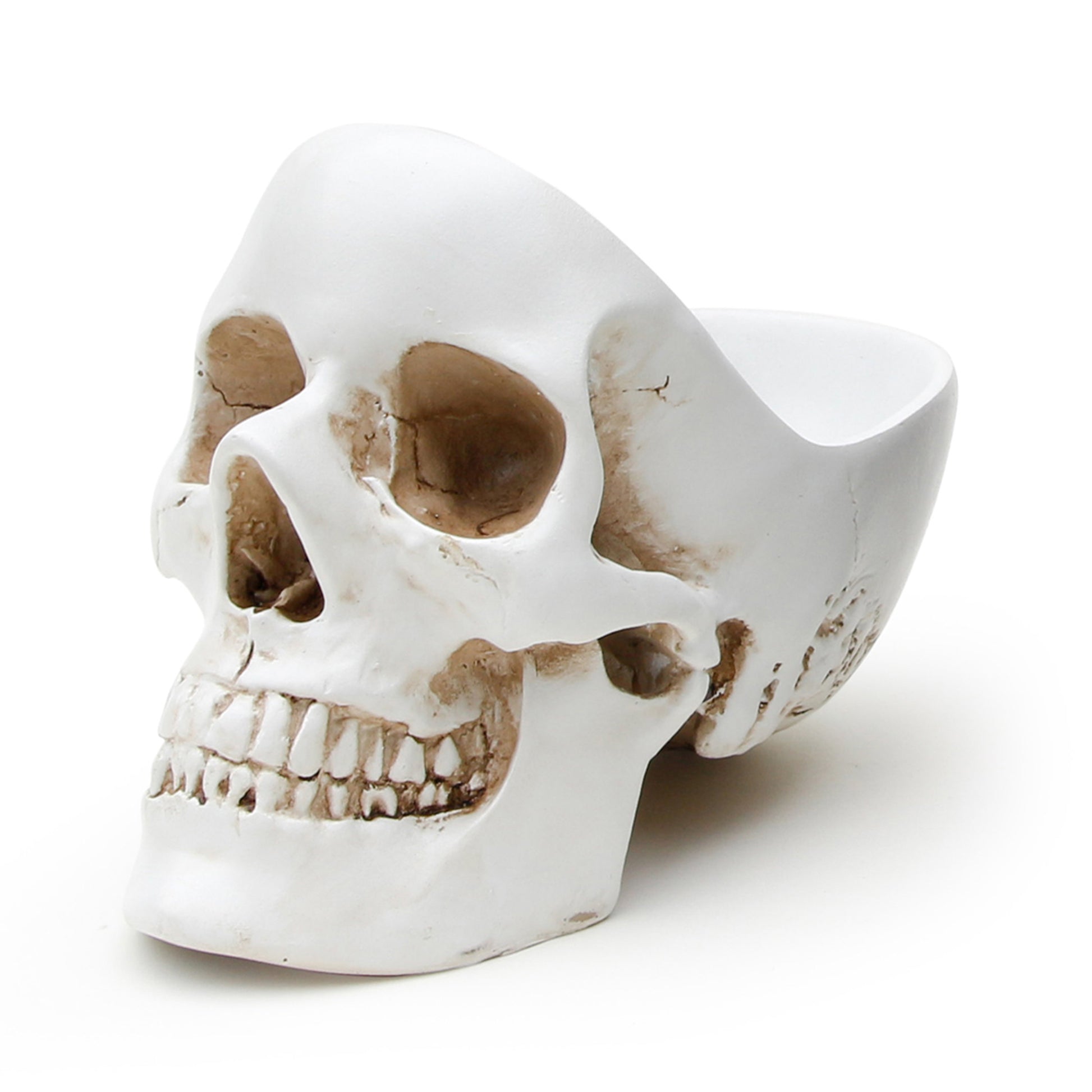 Skull Desk Tidy