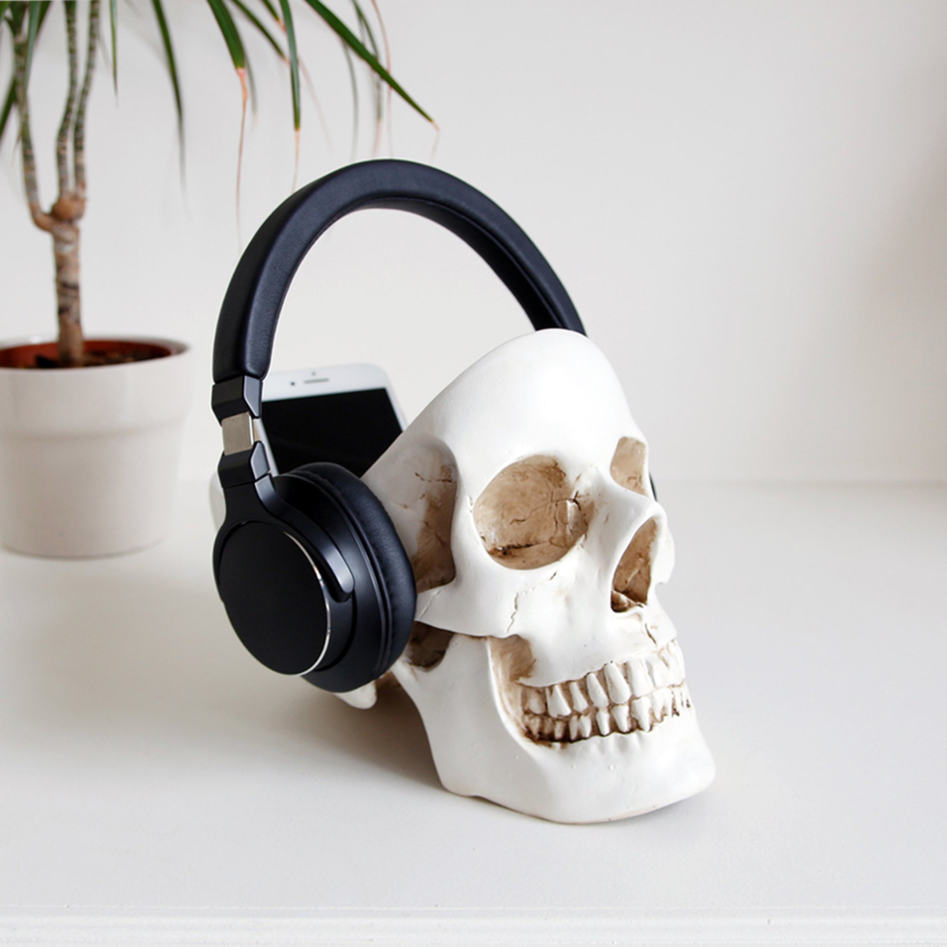 Skull Desk Tidy