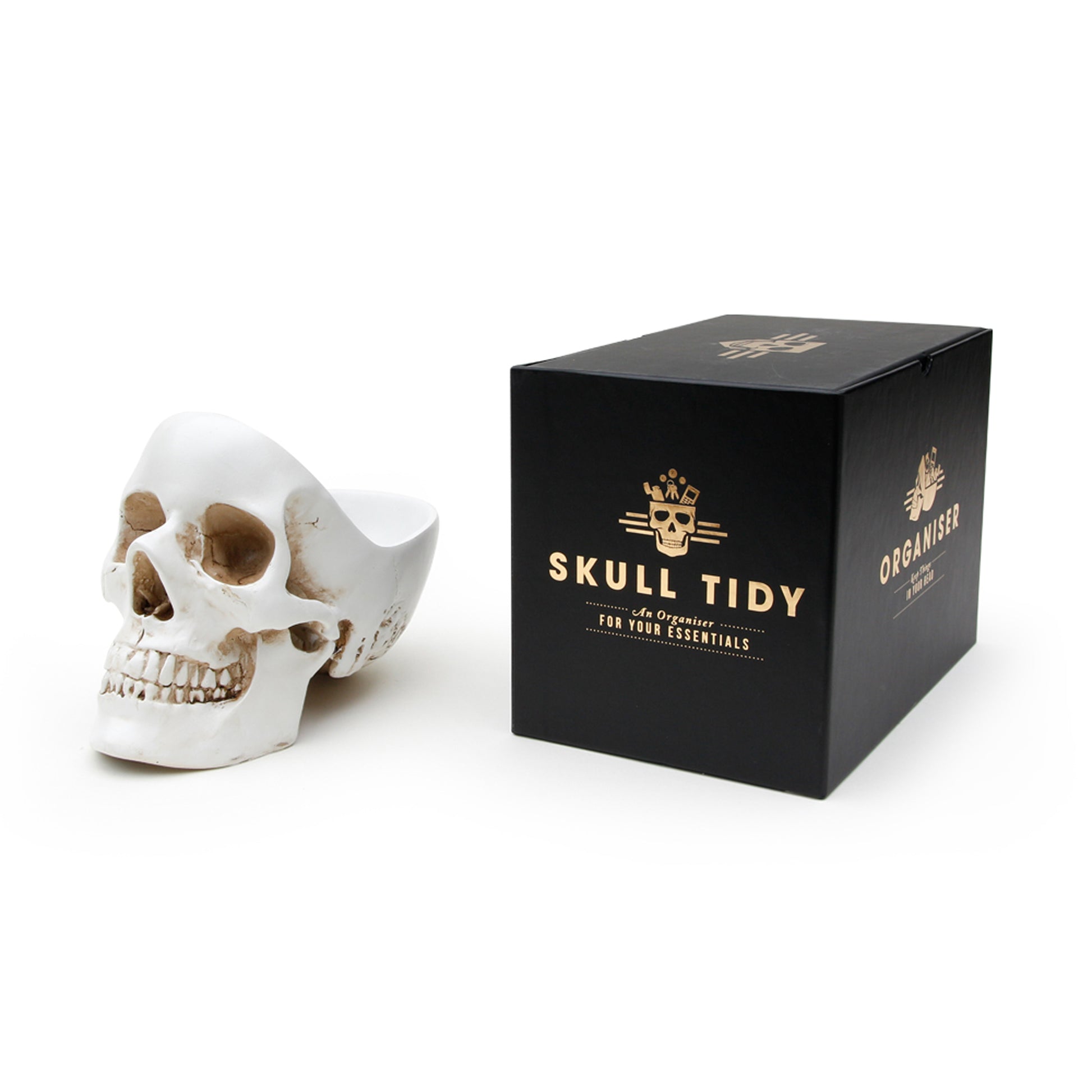 Skull Desk Tidy