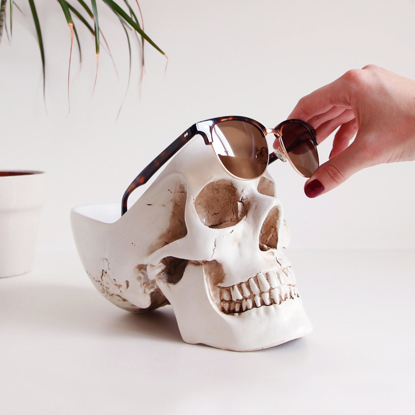 Skull Desk Tidy