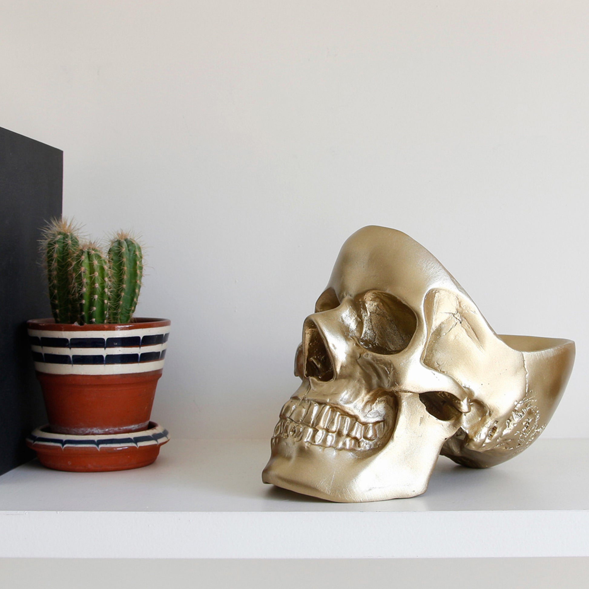 Skull Desk Tidy