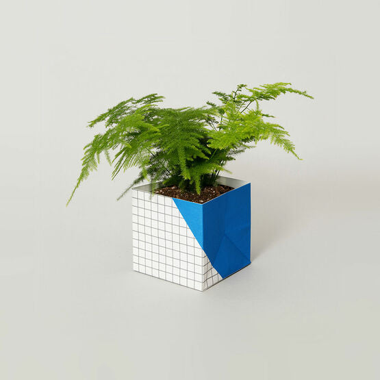 Plant Cover Geometric Large Blue