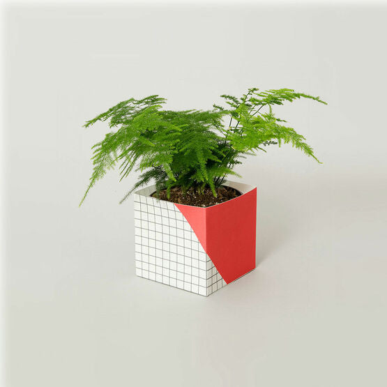 
            
                Load image into Gallery viewer, Plant Pot Cover Geometric - Large - Red - Grid
            
        