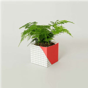 Plant Pot Cover Geometric - Large - Red - Grid