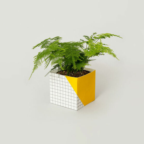 Plant Pot Geometric Cover - Large - Yellow - Grid