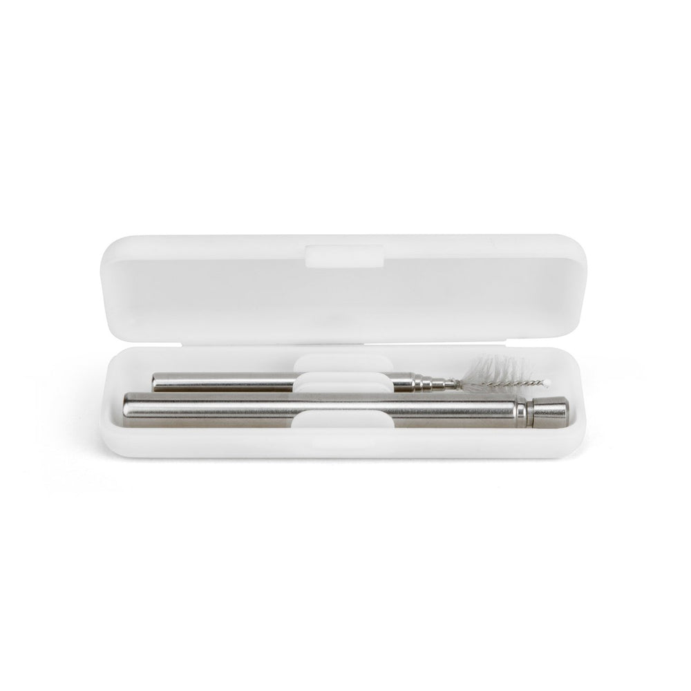 Metal Straw and Brush Travelling Set Silver