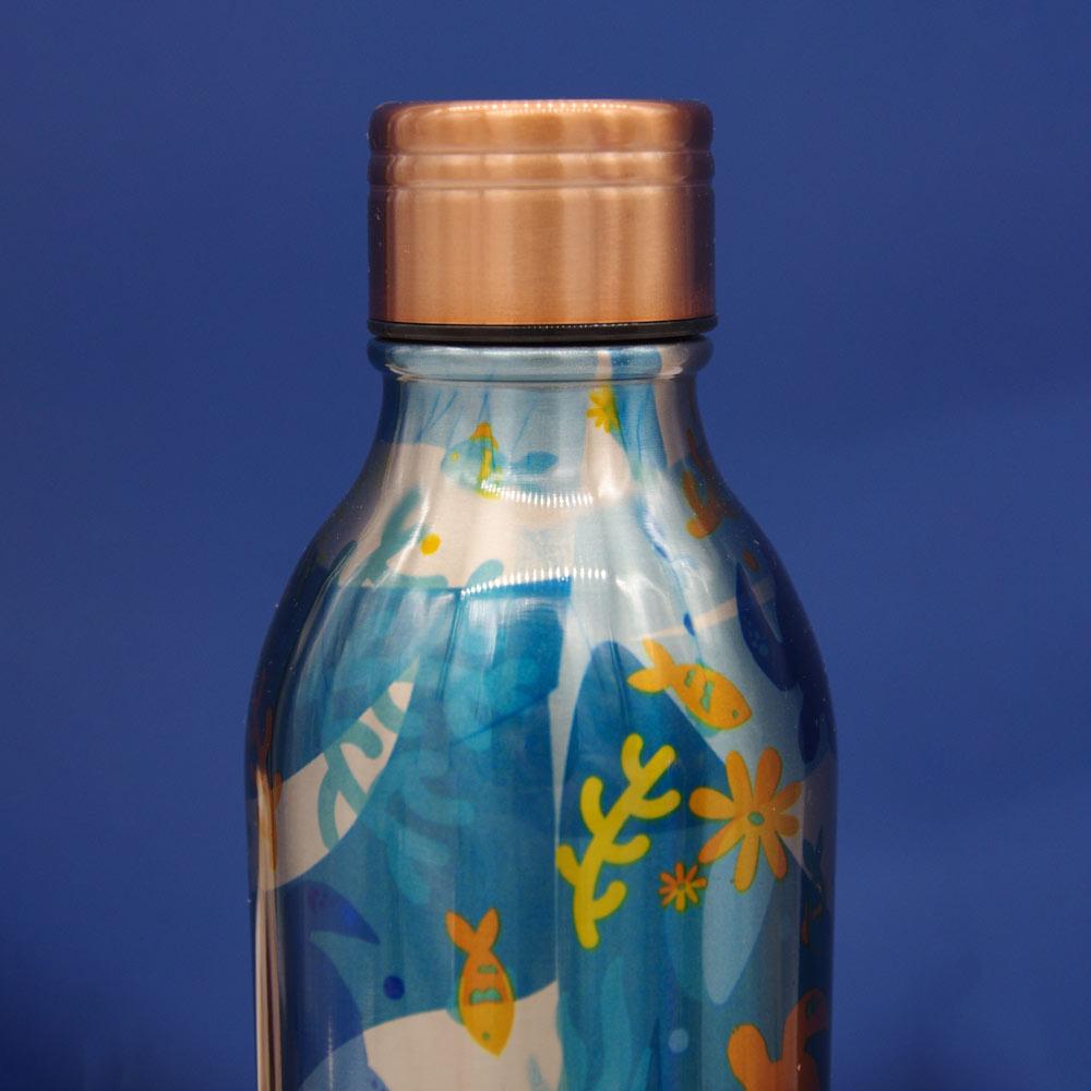 Insulated Water Bottle Coral Shine in Blue Green 500ml