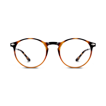 Reading Glasses +1 Tortoise Bronze Cruz with Case Nooz