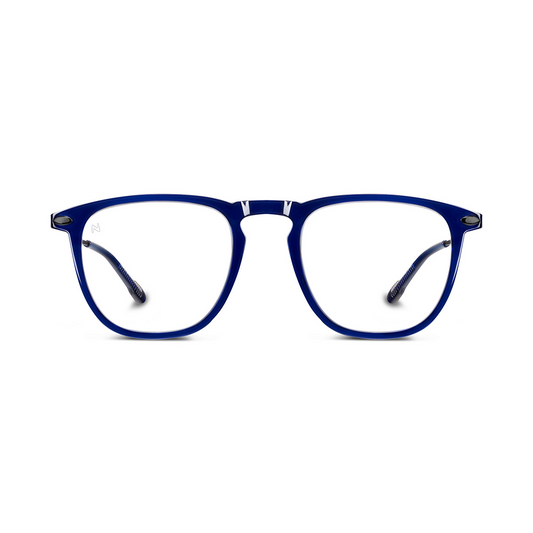 Reading Glasses +2 Navy Dino with Case Nooz