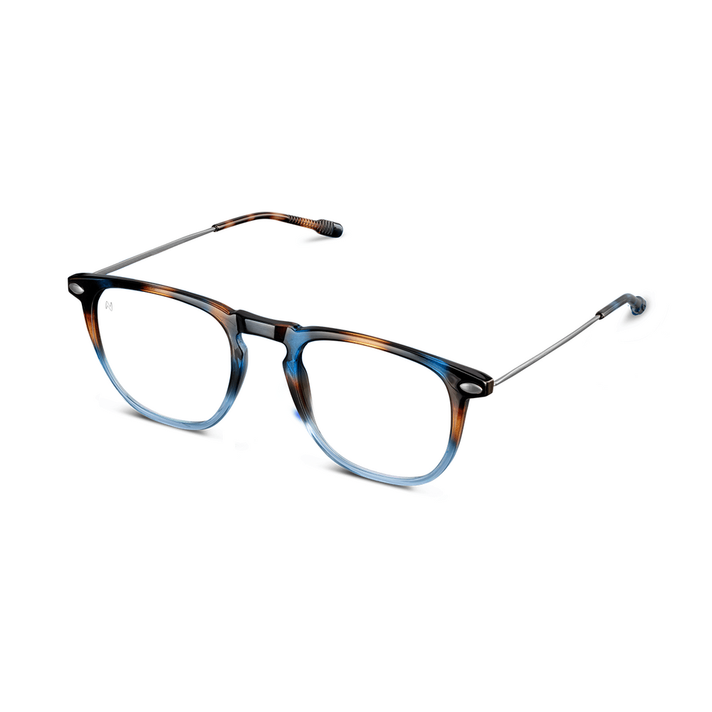 Reading Glasses +2 Tortoise Navy Dino with Case Nooz