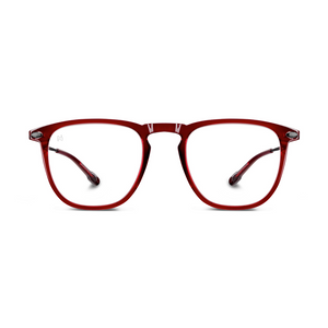 Reading Glasses +1.5 Red Dino Nooz Essentials