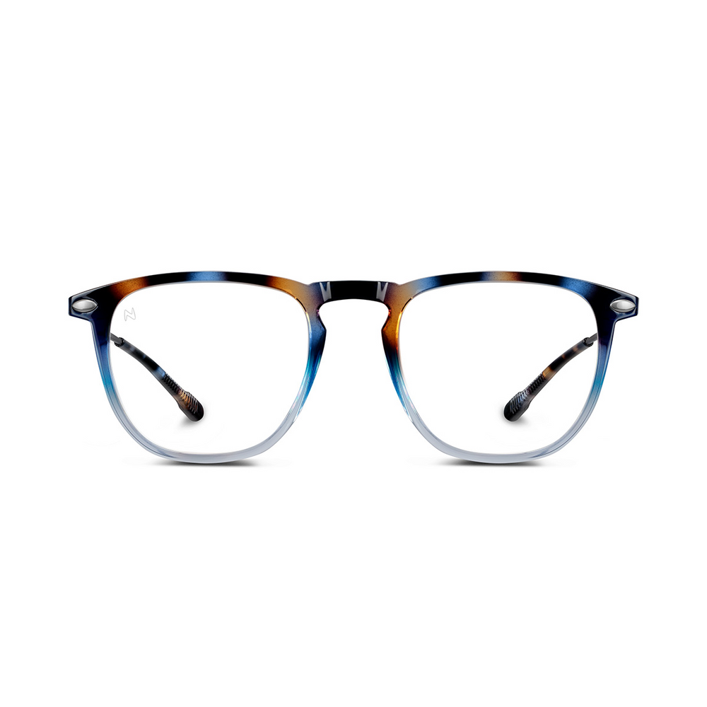 Reading Glasses +1 Tortoise Navy Dino with Case Nooz