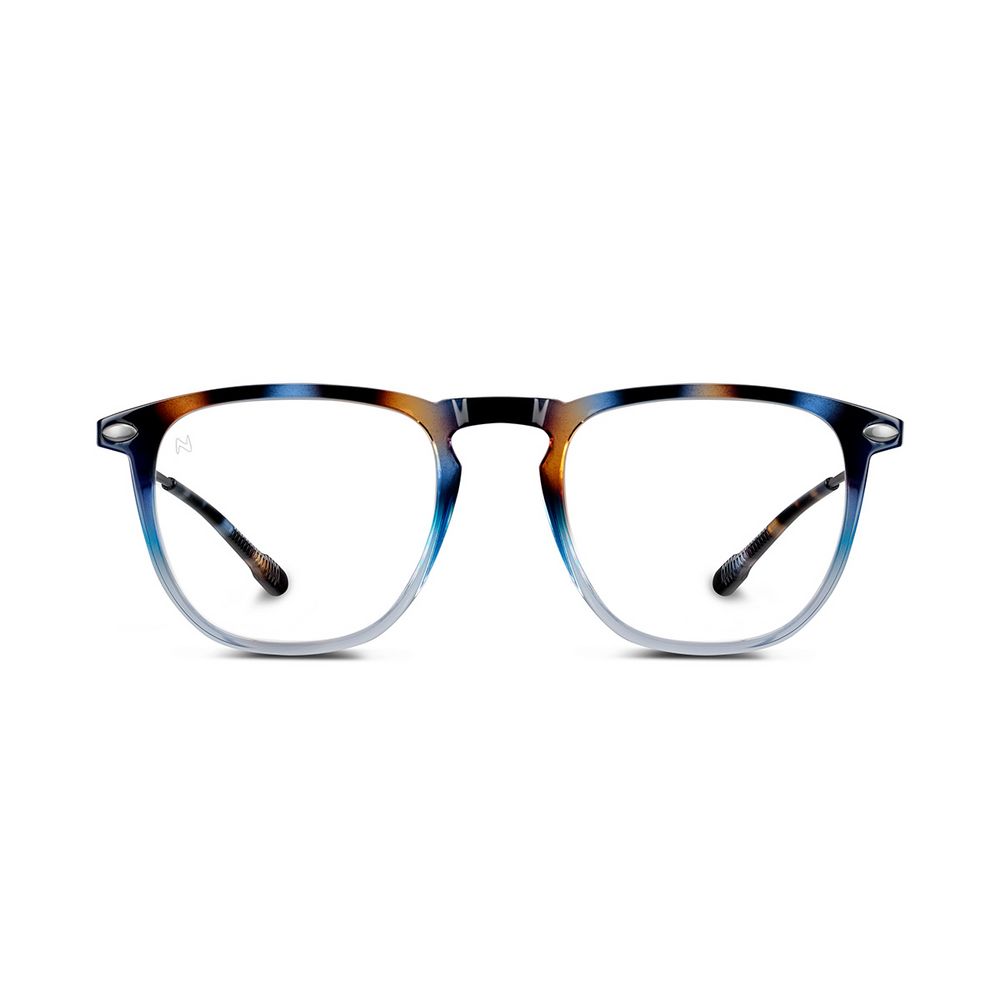 Reading Glasses +3 Tortoise Navy Dino with Case Nooz