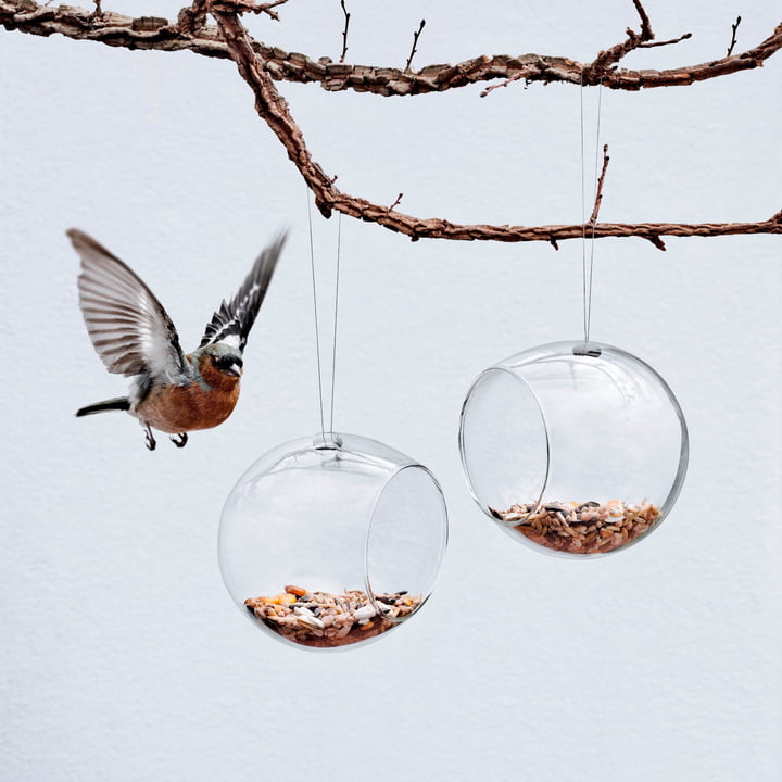 Mini Bird Feeders Hanging Set of 2 in Glass