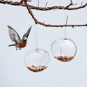 Mini Bird Feeders Hanging Set of 2 in Glass
