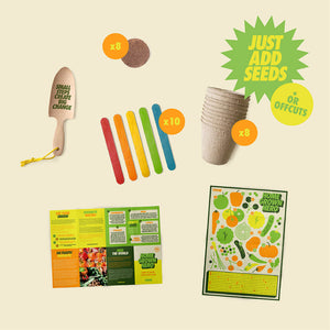 Home Gardening Kit - For Good Home Grown Hero Grow Kit in Green and Yellow
