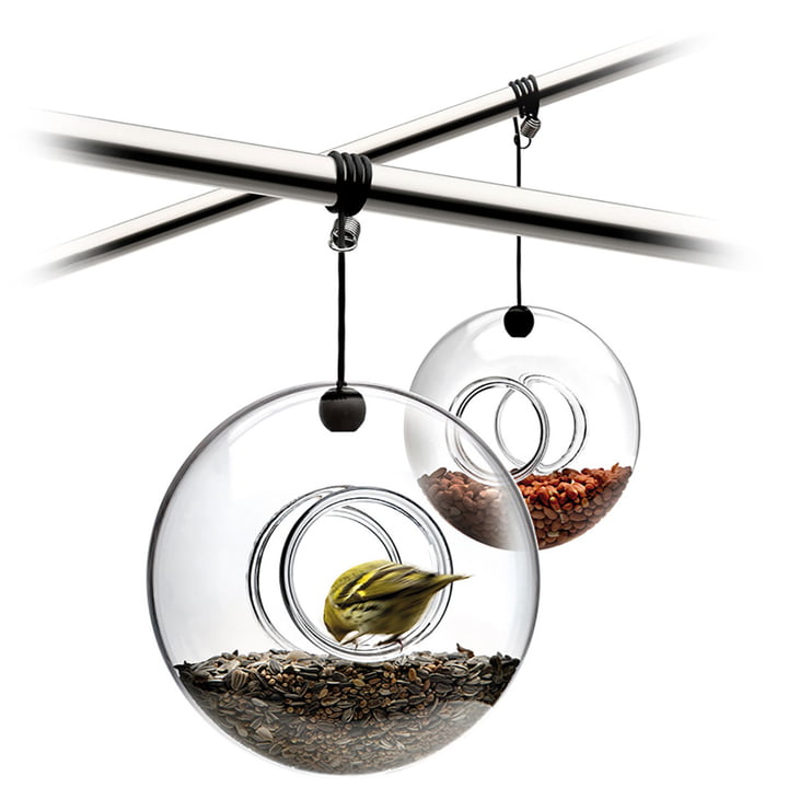 Bird Feeder Hanging Ring in Glass