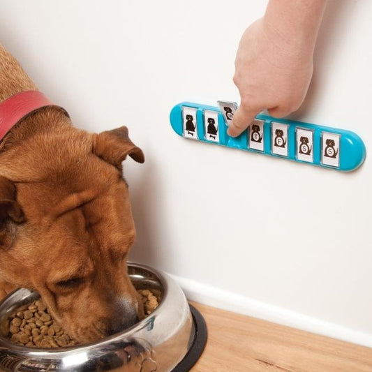 Daily Reminder Memos for Pills, Pet Feeding & Plant Watering & More Membo