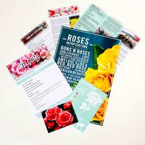 Name A Rose - Gift Tin Gift Republic