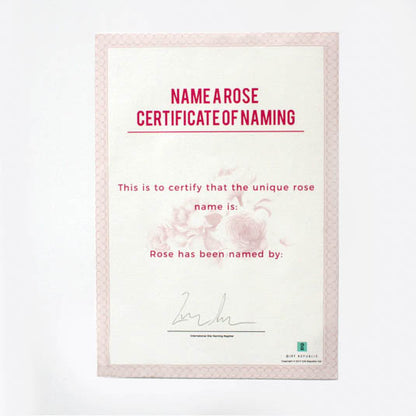 Name A Rose - Gift Tin Gift Republic