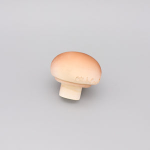 Baby Teether Toy Rubber Mushroom Brown