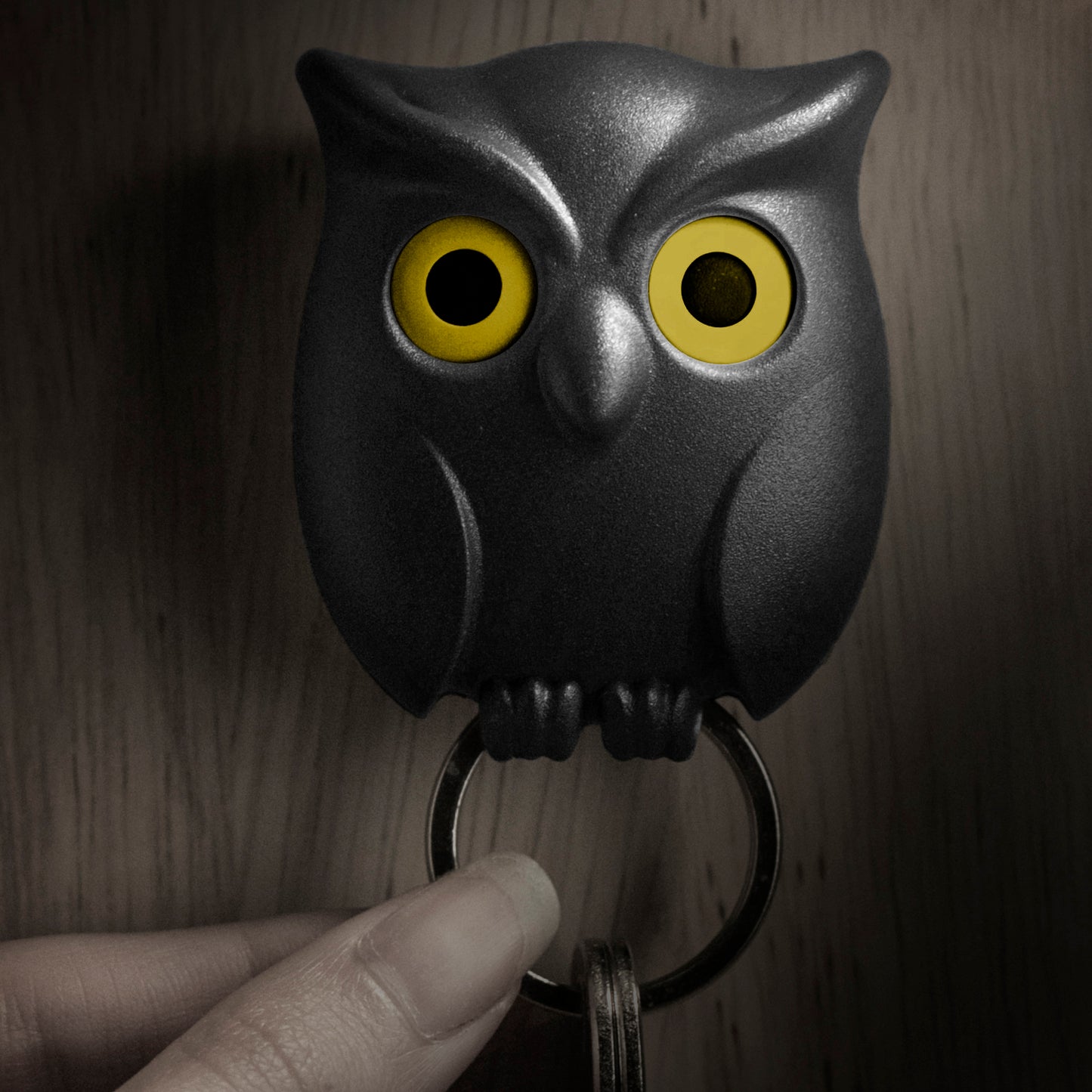 Key Holder Night Owl in Black