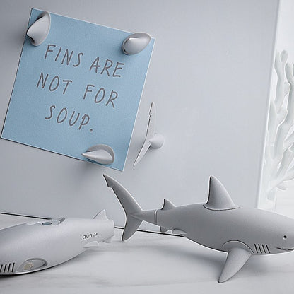 Magnets Shark Fin