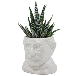 Plant Pot Sigmund Freud Mini Planter White